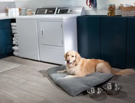 speed-queen-tr7-top-load-washer-golden-retriever